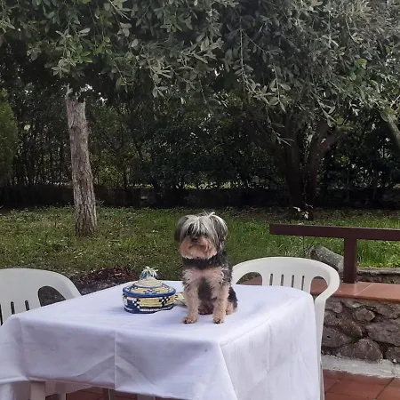 La Casa Di Mario *